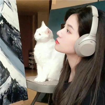 红白黑黄第一季